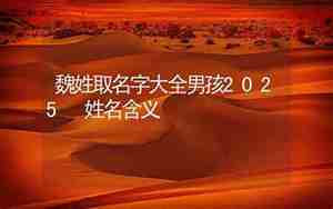 魏取名字大全女孩