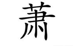 萧姓女孩取名字