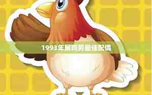 1993年属鸡是什么命