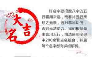 起名网免费取名打分测试