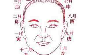 善良痴傻之人面相图片
