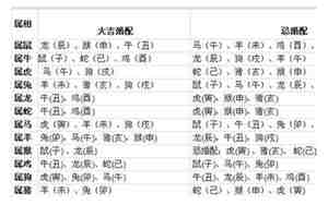 12生肖婚配表查询