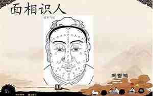 识人面相学
