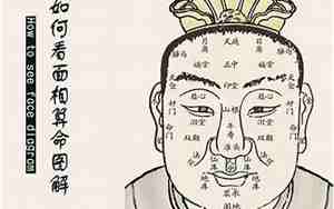 易经里面有面相吗为什么