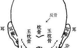 头顶靠后骨头突出