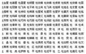 杜姓取名寓意最好的名字男孩