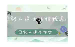 梦见送羊给别人吃