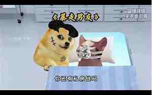 你男朋友怎么追你的到结婚的