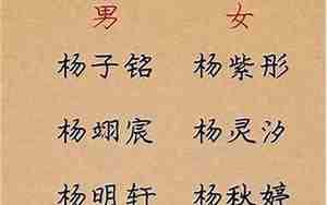姓杨的女孩取什么名字最好听