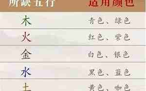 龙五行属性是什么意思