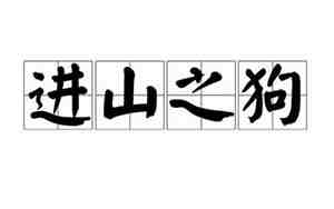 进山之狗是什么意思 命运好不好
