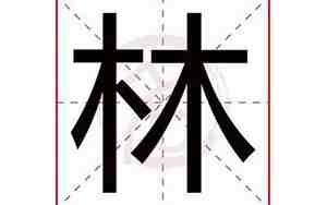 林字取名男孩有寓意