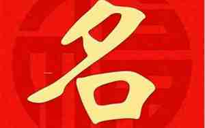 在线测名字免费公司