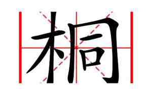 桐字取名的寓意女孩名字