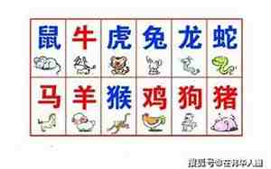 羊和马属相合不合婚姻