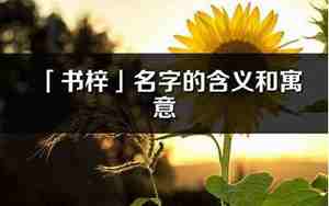 梓在名字里的寓意和含义