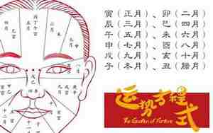 实用面相真人图解 pdf
