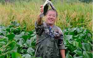 梦见别人养鳖什么意思