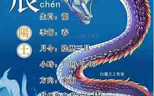 宸代表什么意思和寓意