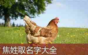 焦姓男孩取什么名字好带水或者火