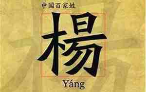 姓杨的男孩儿名字