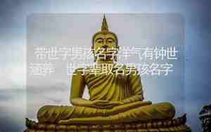 世字取名男孩有寓意