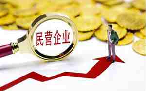 私企和民营企业的区别