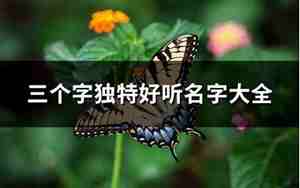 三个字独特好听名字男生网名