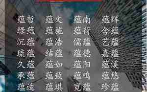 蕴字取名最佳组合