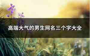 三个字的网名男生霸气老人