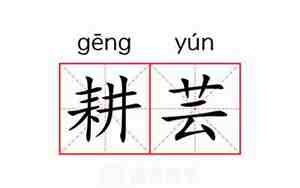 芸的意思和含义