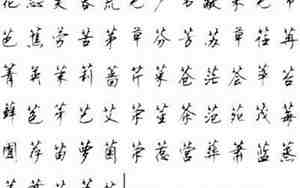 草字头的名字女孩