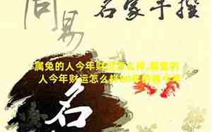 属兔今年财运在哪个方向