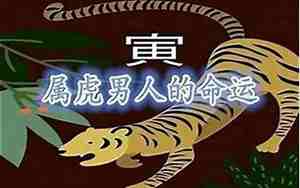 1998年属虎的是什么命