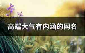 情商高有内涵的网名