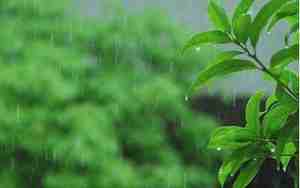 梦见下小雨是什么征兆 女性