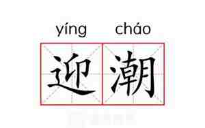 潮的意思解释