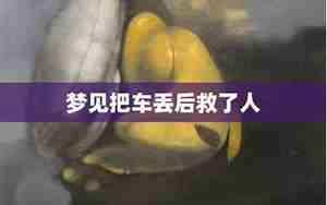梦见别人把车丢了又找到了