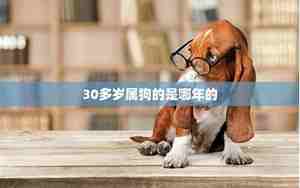 属狗人的性格和脾气