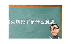 梦见别人拿火烧我身上