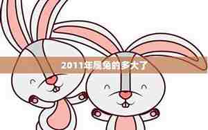 属兔的多大了今年2024