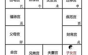 命宫化禄到夫妻宫