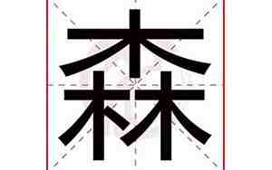 森字取名的寓意男孩