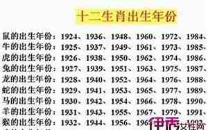 属兔的几岁了现在
