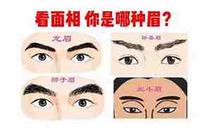 虎眉毛面相分析女