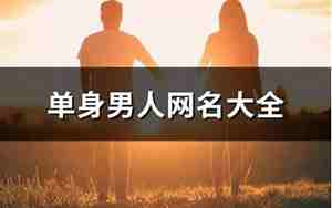 一个单身男人的网名