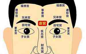 看相的基本面相有哪些