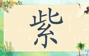 微信名带紫字的名字