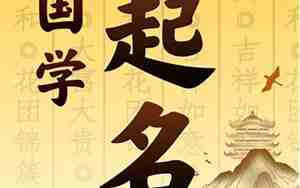 国学起名官网