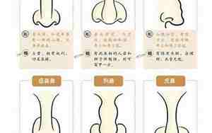鼻子看相:五种富贵鼻女人